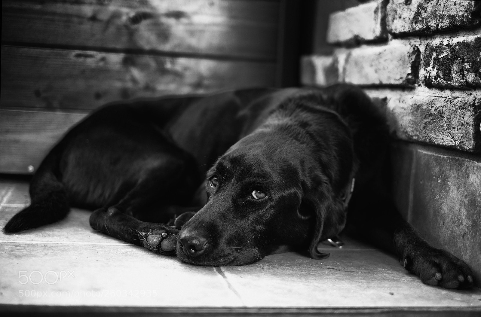 Fujifilm X-T2 sample photo. Mokka photography