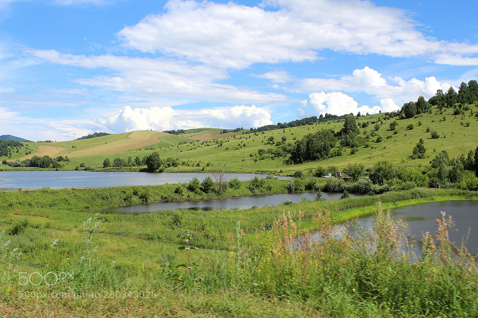 Canon EOS 600D (Rebel EOS T3i / EOS Kiss X5) sample photo. Altai photography