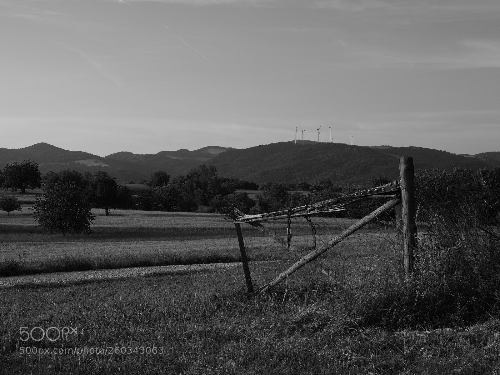Olympus OM-D E-M10 II sample photo. In wehr. view from photography