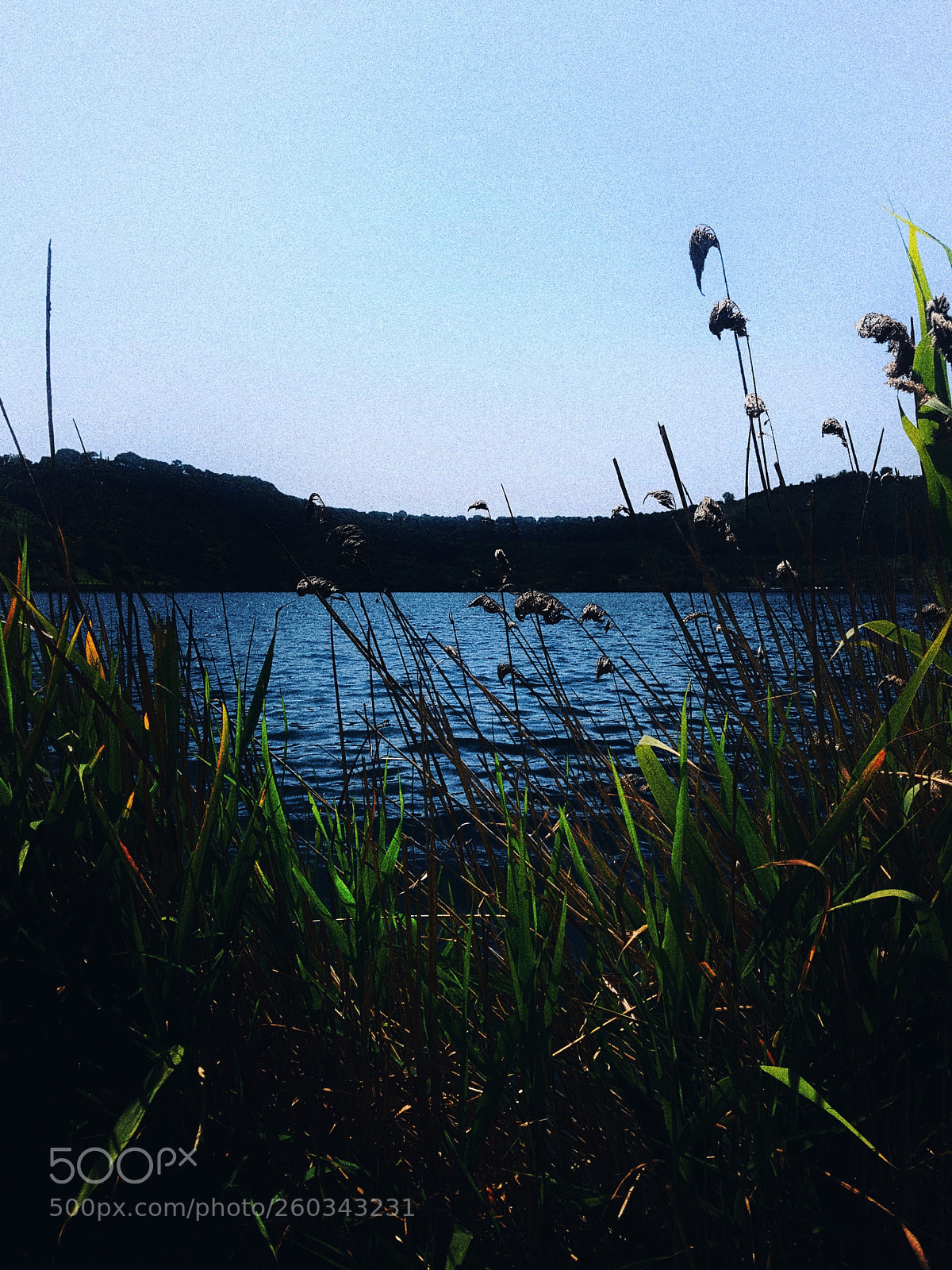 Samsung Galaxy S7 Edge sample photo. Lake avernus photography