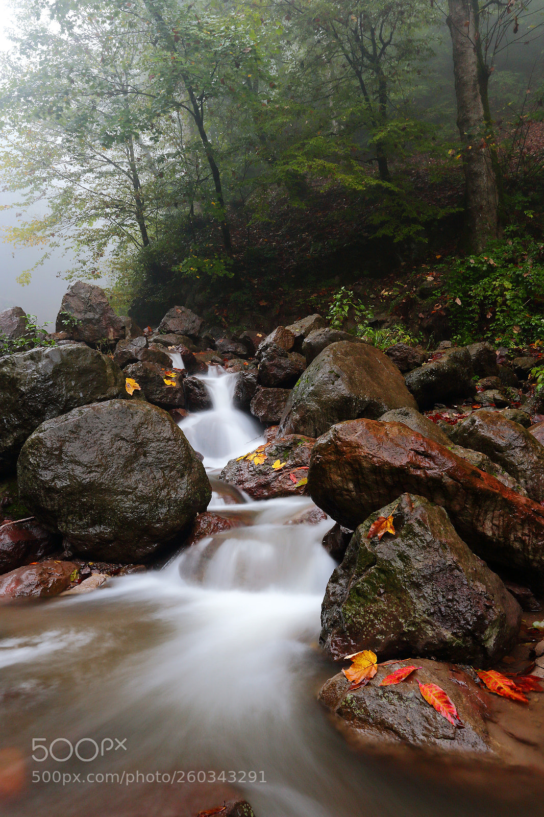 Canon EOS 6D sample photo. Stream photography