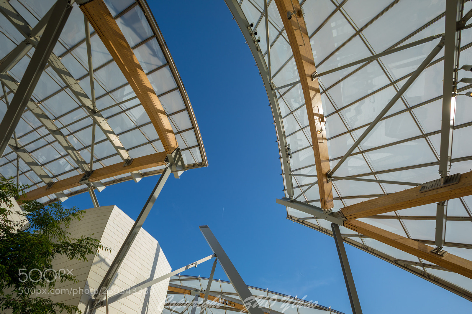 Canon EOS 5D Mark IV sample photo. Louis vuitton foundation photography