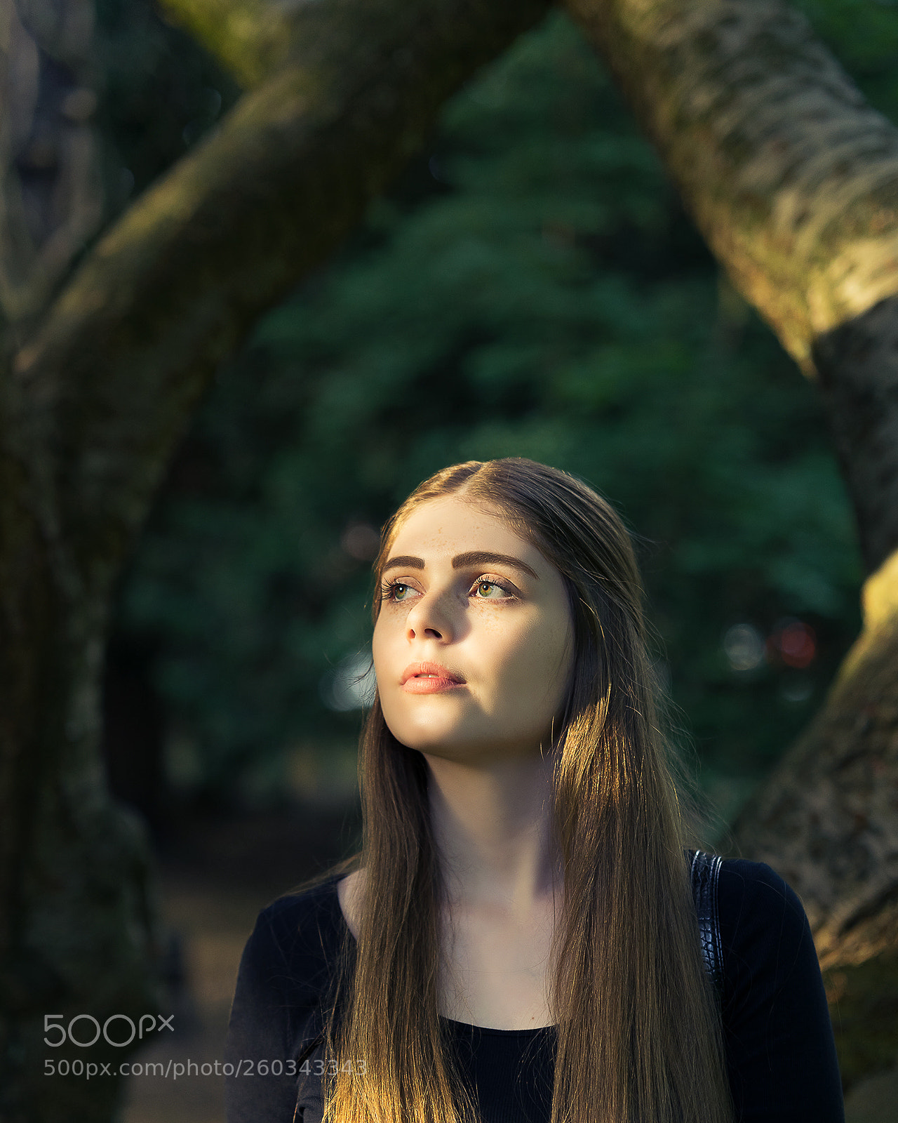 Sony a7 II sample photo. Untitled photography