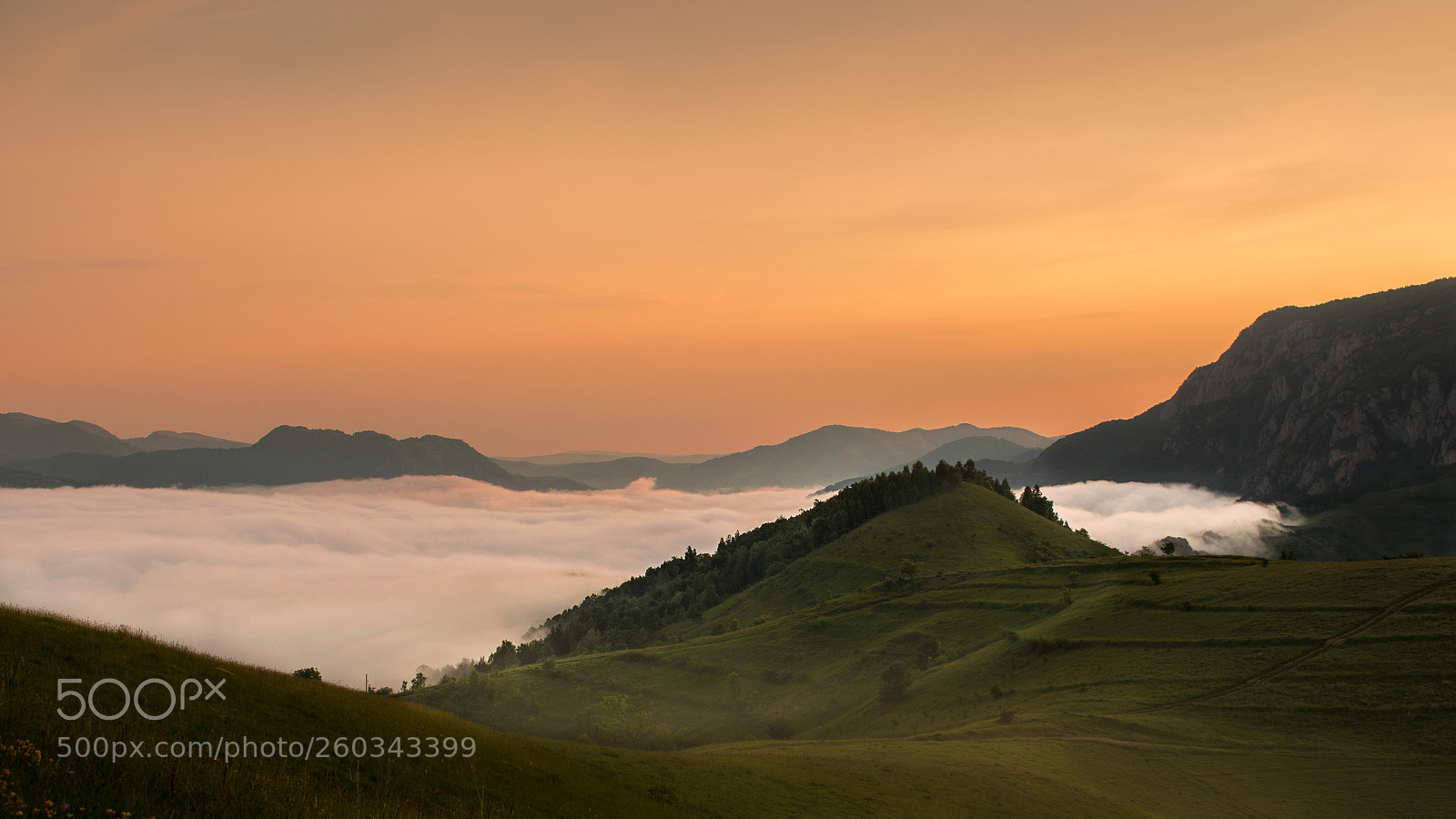 Nikon D3300 sample photo. Fog in the valley photography