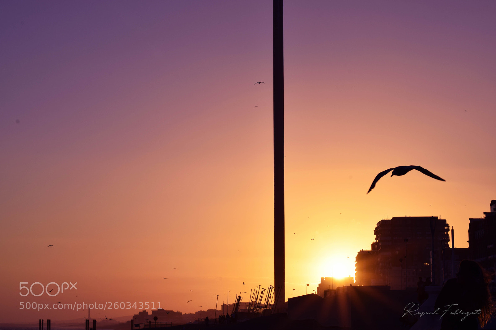 Nikon D3300 sample photo. Sunset in brighton photography