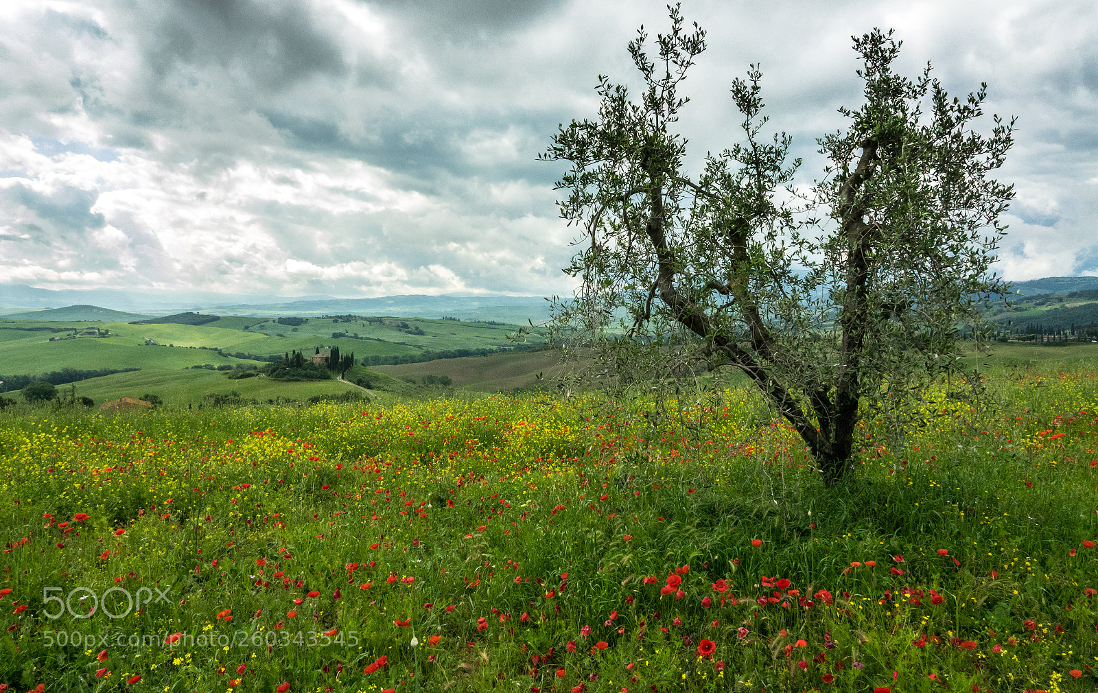 Sony Cyber-shot DSC-RX10 III sample photo. Toskana. pienza. italy photography