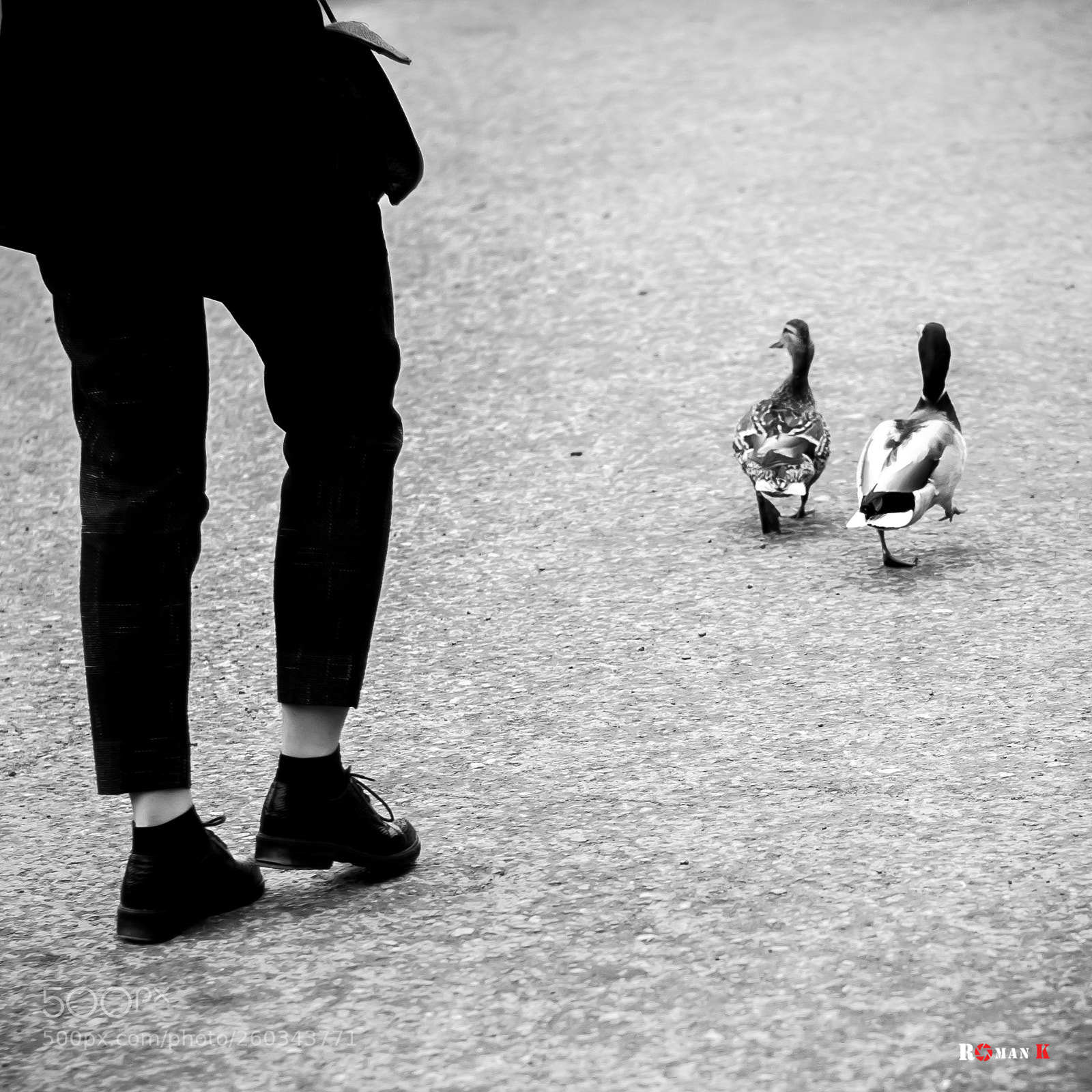 Nikon D300 sample photo. Bsc photography