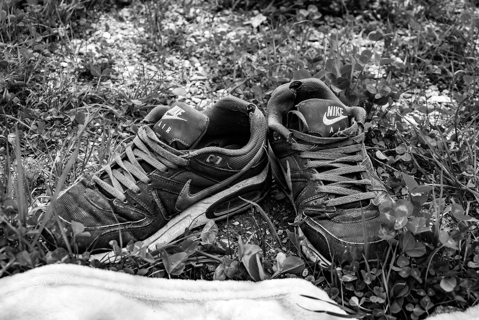 Nikon D3300 sample photo. Nike photography