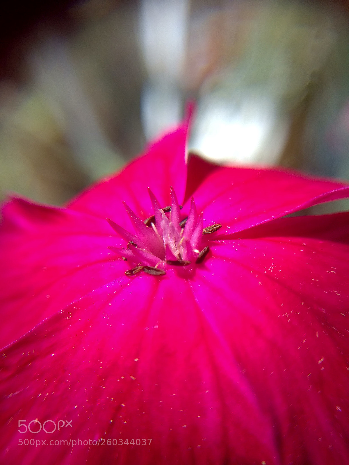 Xiaomi Redmi Note 4 sample photo. Untitled photography