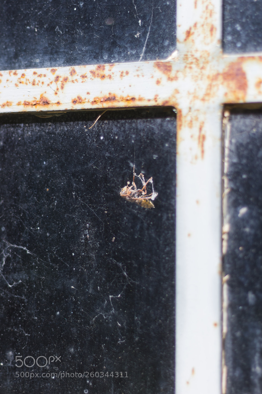 Canon EOS 1200D (EOS Rebel T5 / EOS Kiss X70 / EOS Hi) sample photo. Rusty window photography