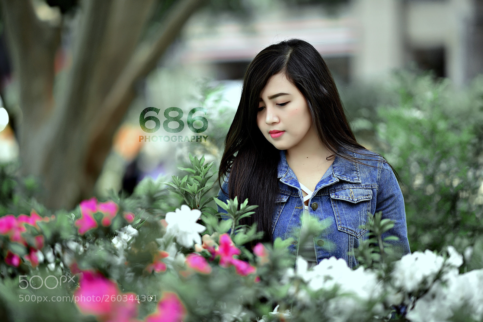 Nikon D750 sample photo. Untitled photography