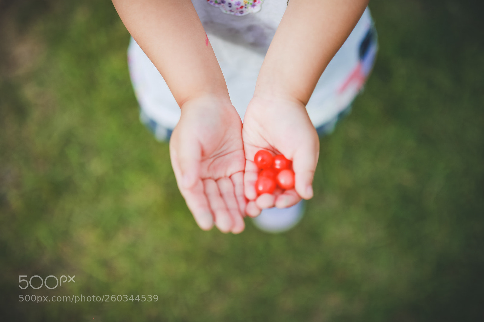 Canon EOS 5D Mark II sample photo. Cherry photography