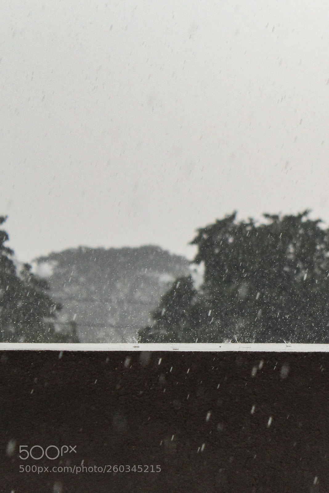 Canon EOS 1300D (EOS Rebel T6 / EOS Kiss X80) sample photo. Raining photography