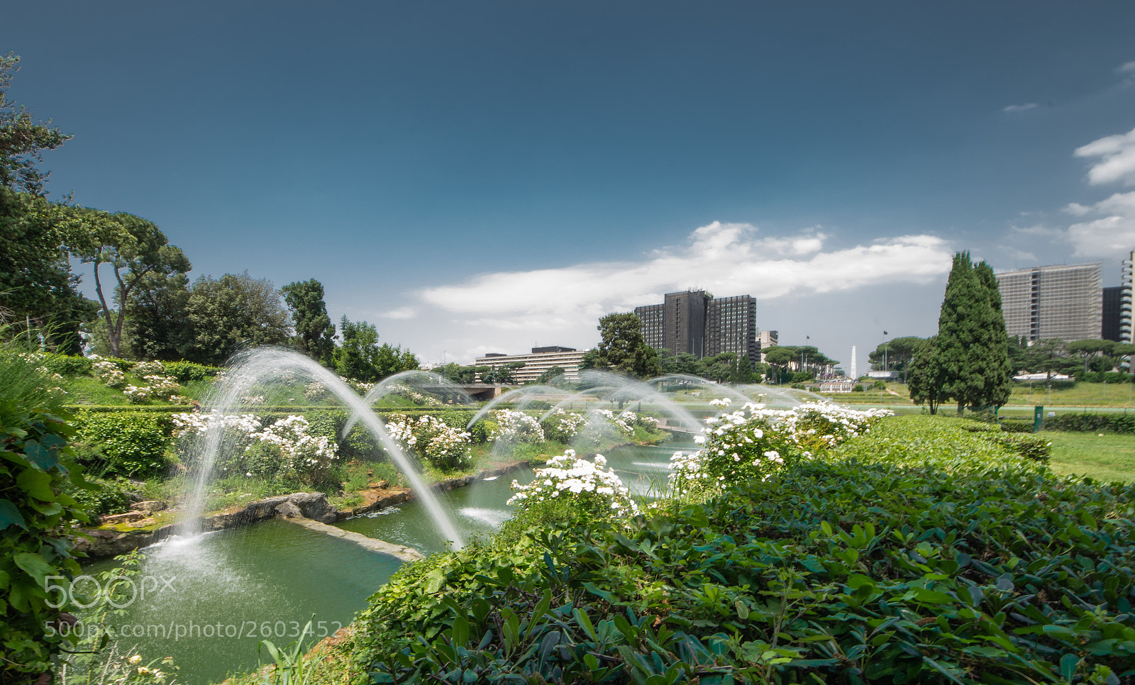 Nikon D3300 sample photo. Eur palasport photography