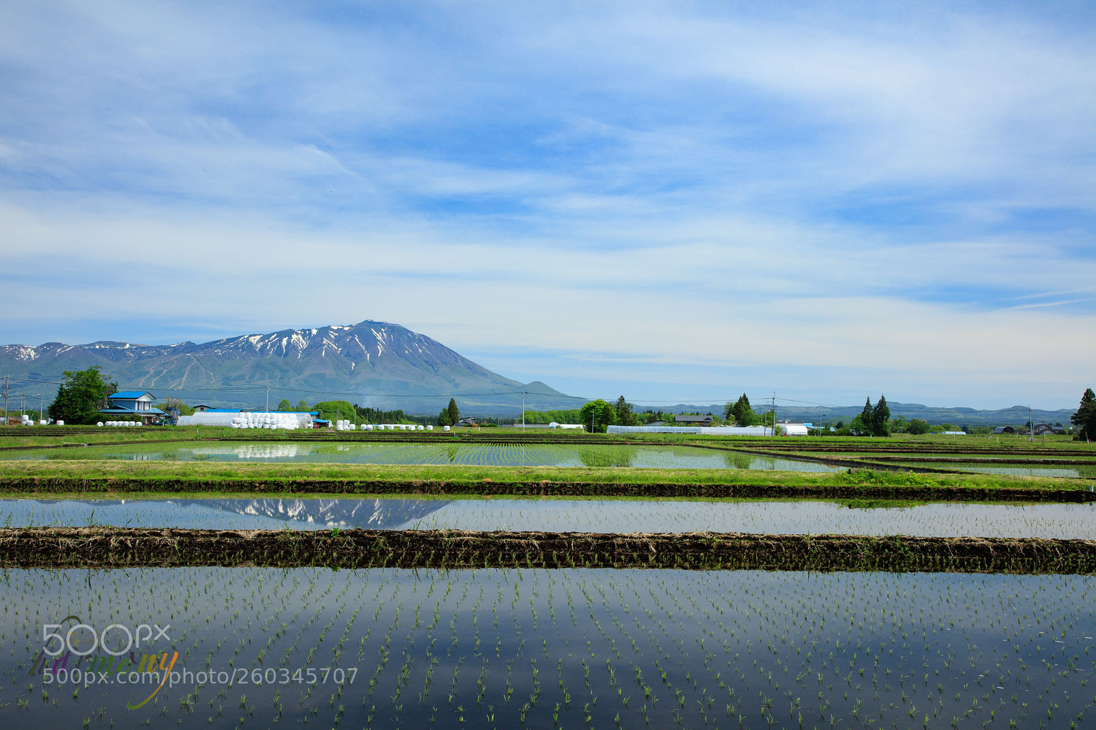 Canon EOS 5DS sample photo. Water fields in early photography