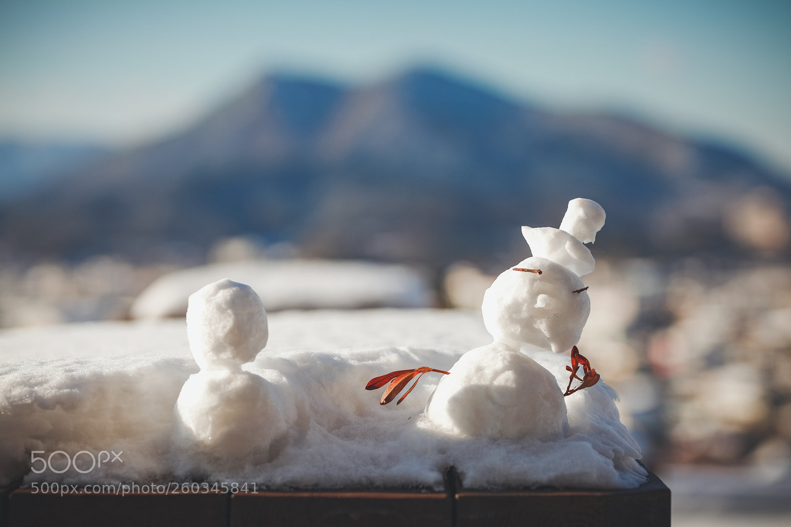 Canon EOS 5D Mark II sample photo. Snowmen photography