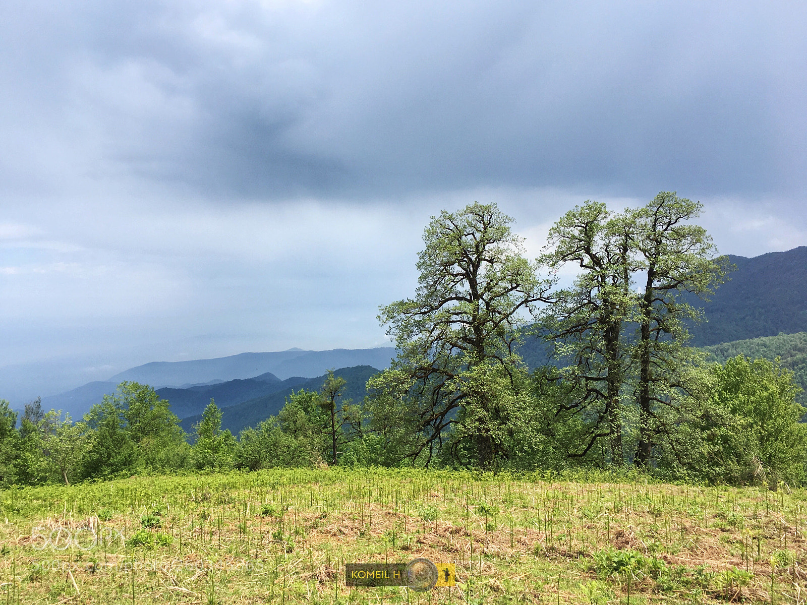 Apple iPhone 6s sample photo. Green land, blue sky photography