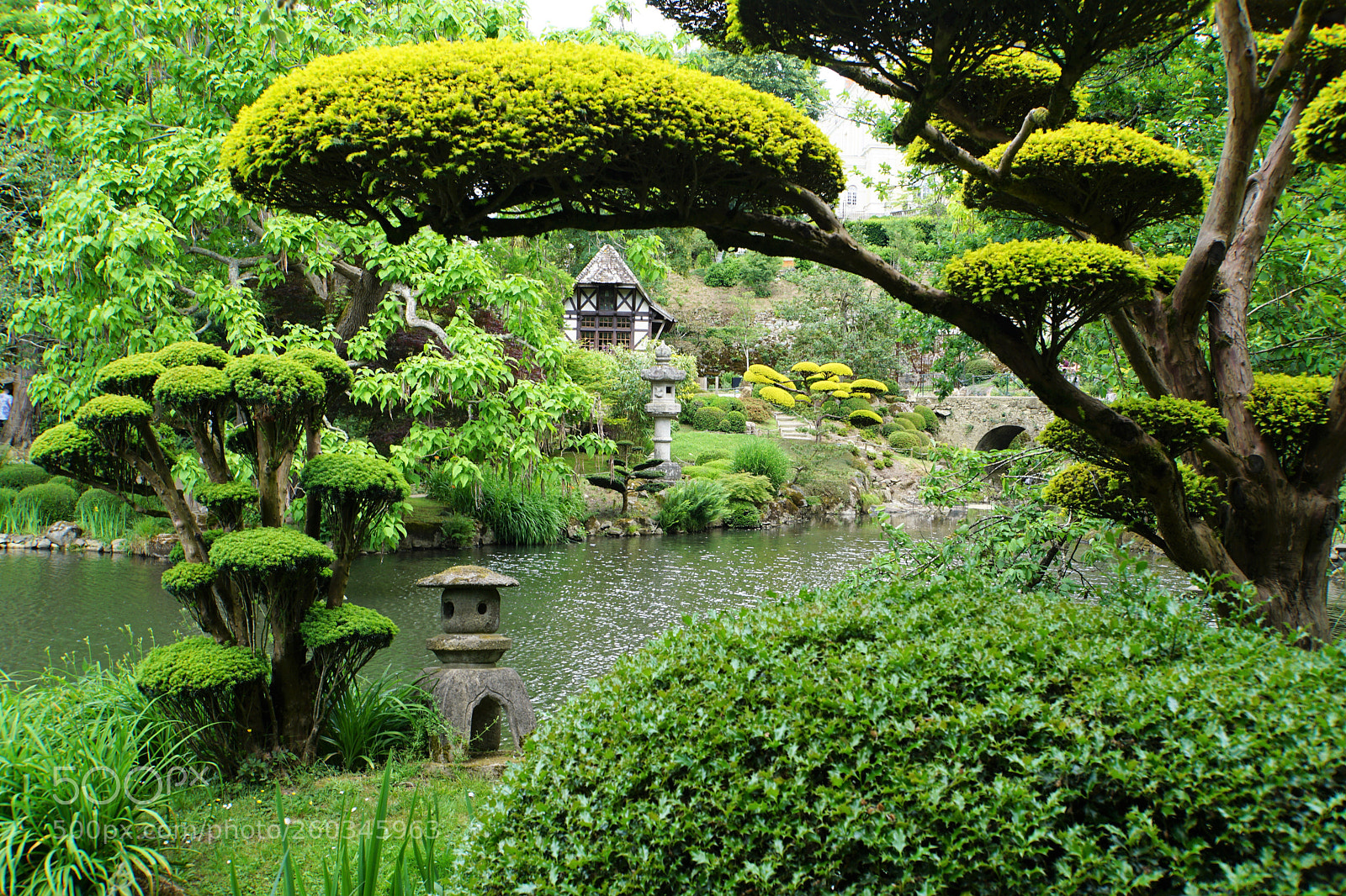 Sony a6000 sample photo. Jardin oriental photography