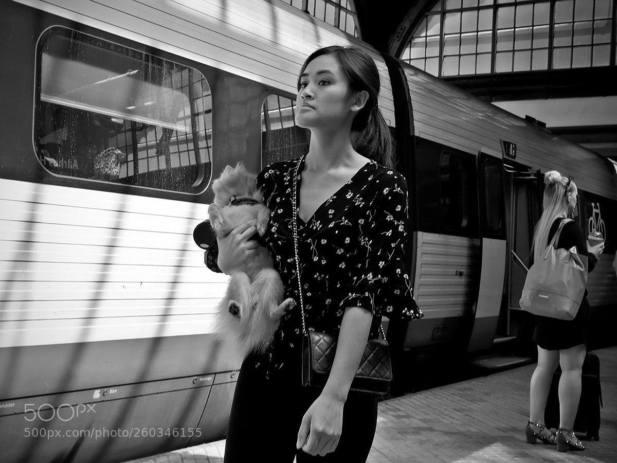 Fujifilm X-Pro2 sample photo. Train ride with doggy photography