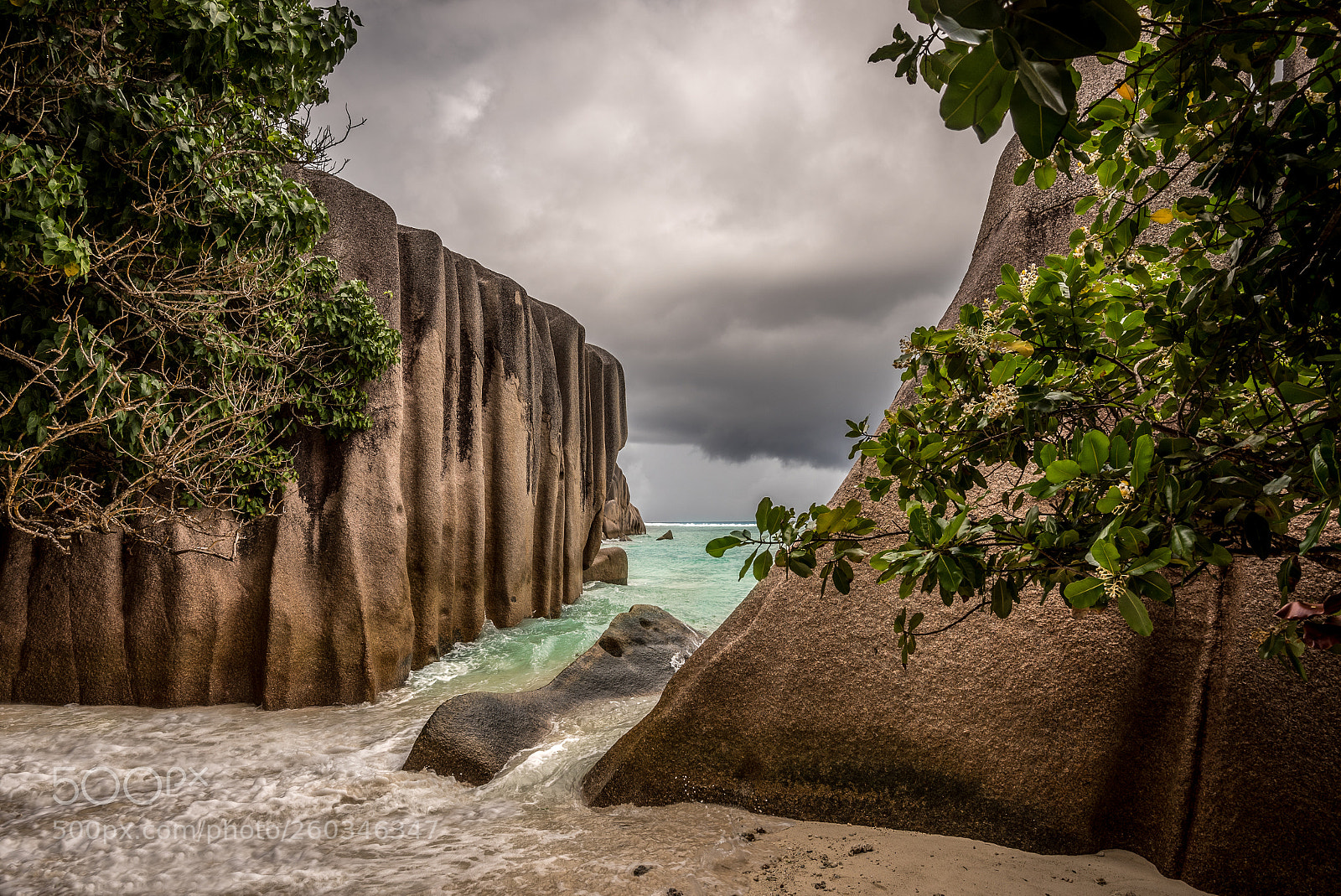 Nikon D750 sample photo. Frame photography
