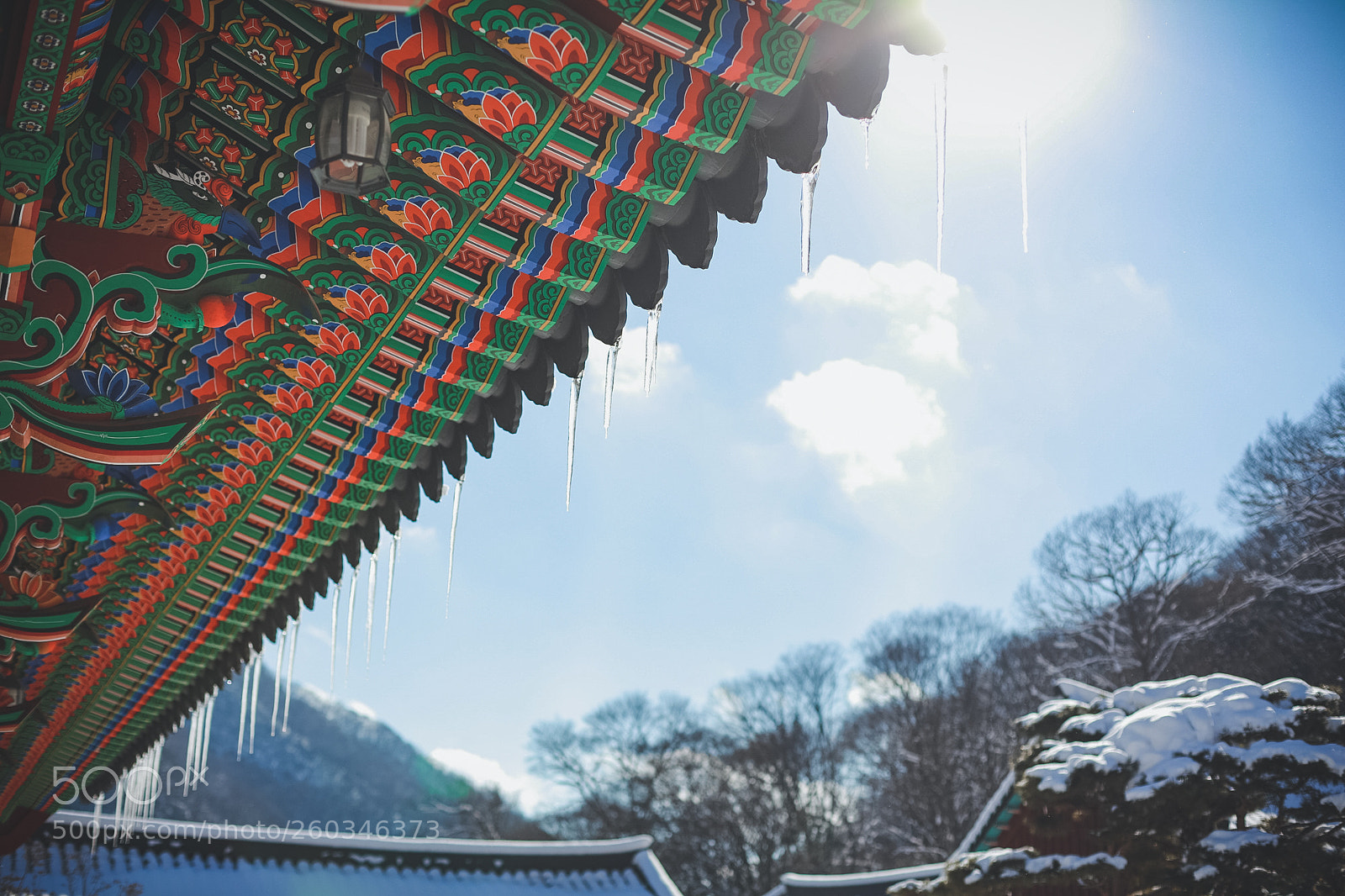 Canon EOS 5D Mark II sample photo. Icicle photography