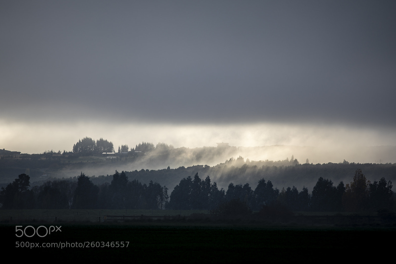 Canon EOS 5D Mark IV sample photo. Misty fall morning photography
