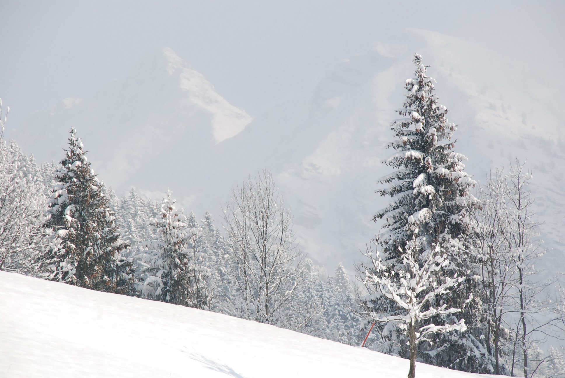 Nikon D80 sample photo. Valle di scalve photography