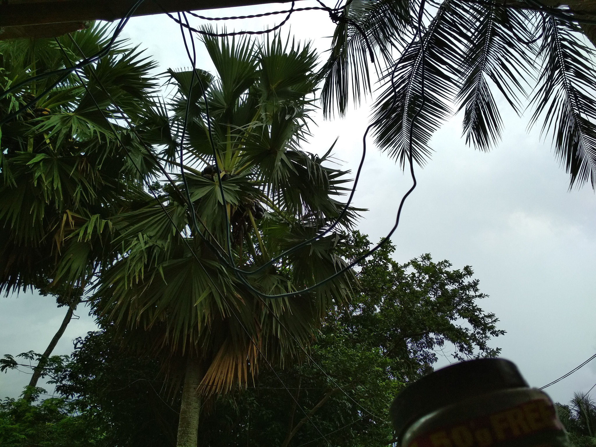 Xiaomi Redmi 4 Pro sample photo