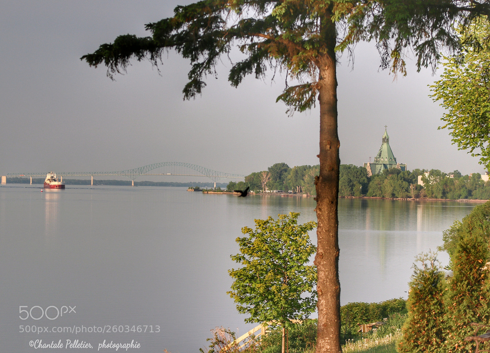 Canon EOS 80D sample photo. Untitled photography