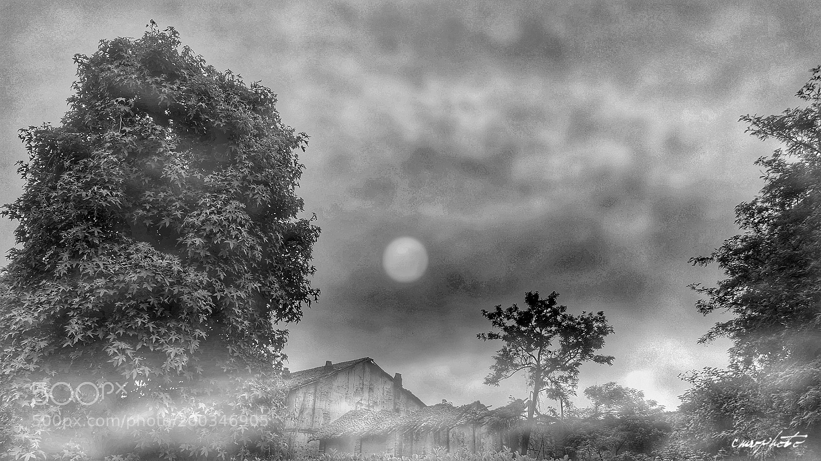 Samsung Galaxy S6 sample photo. Fog photography