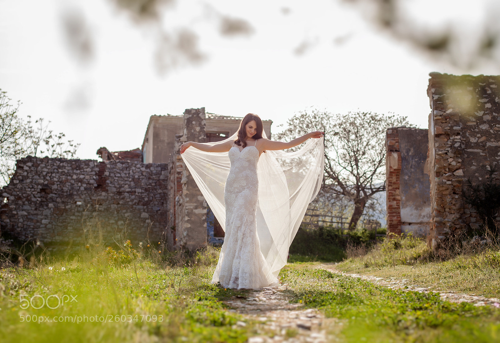 Canon EOS 5D Mark II sample photo. Ror photography photography