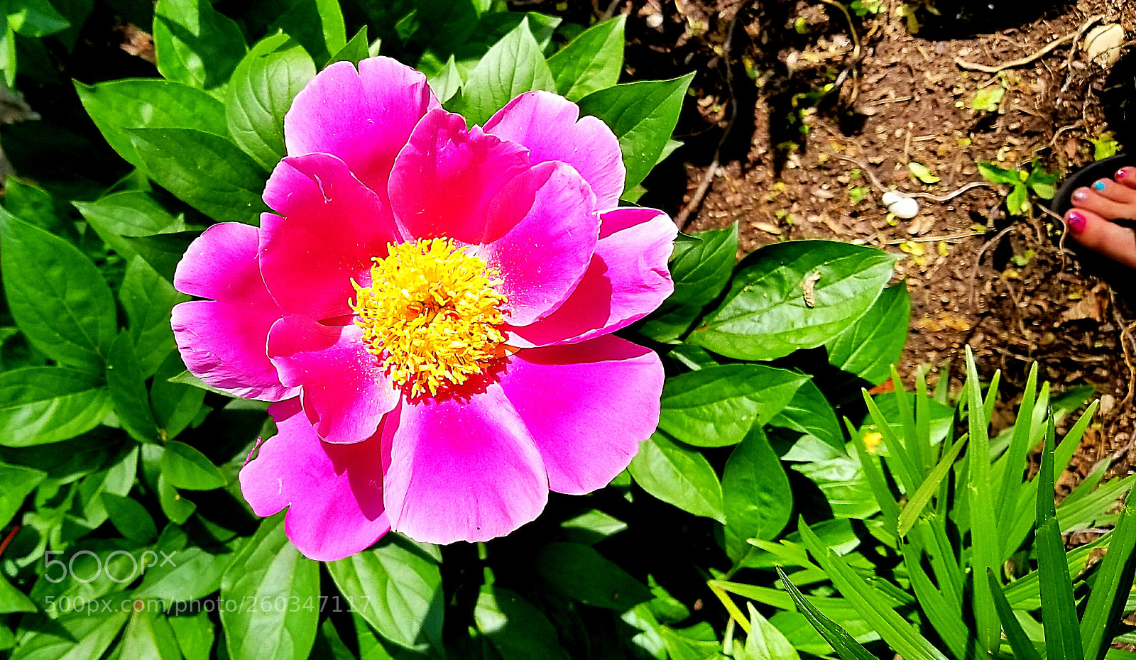 Samsung Galaxy S8+ sample photo. Untitled photography