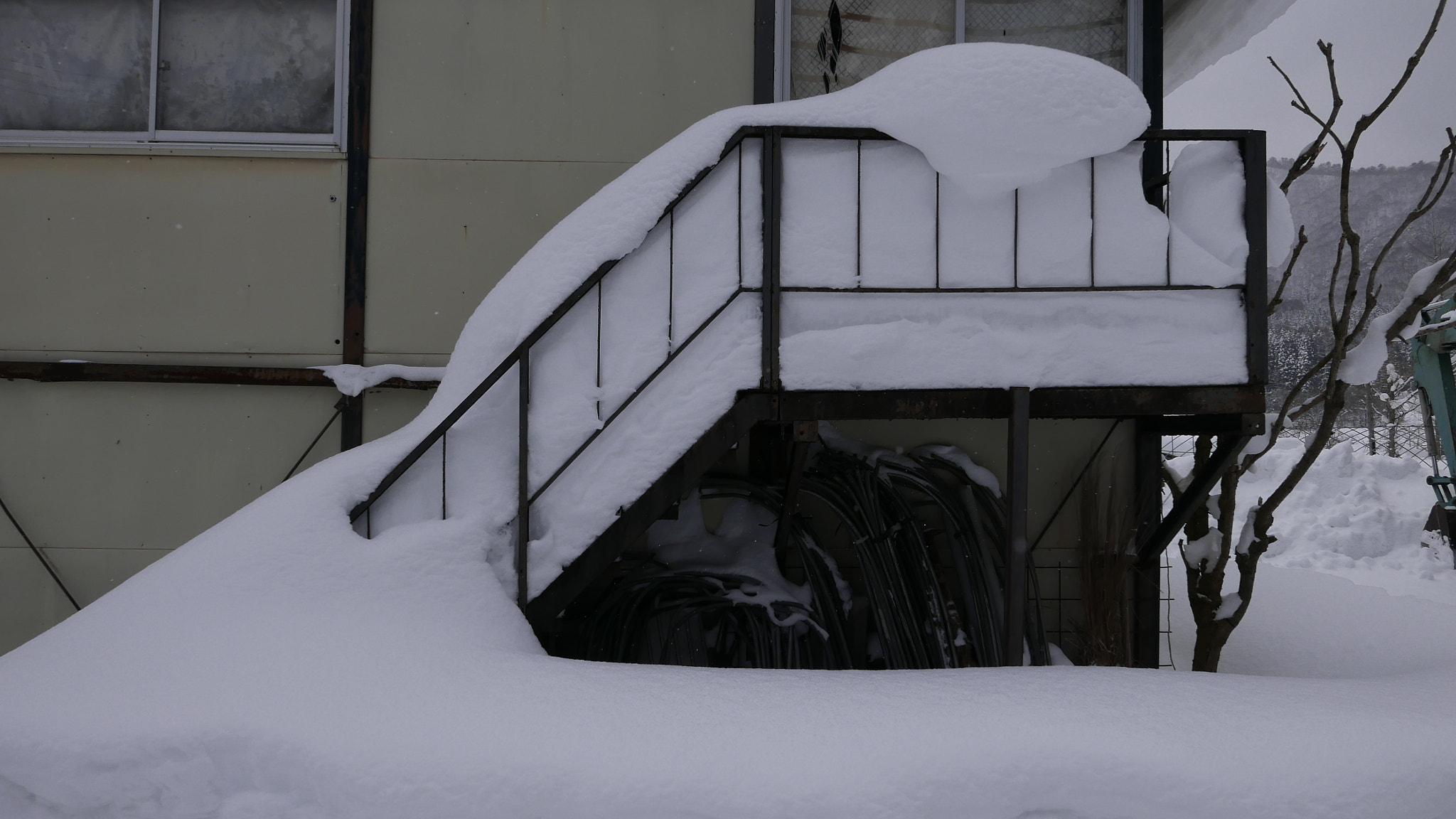 Leica D-Lux (Typ 109) sample photo. 大雪封门。。。 photography