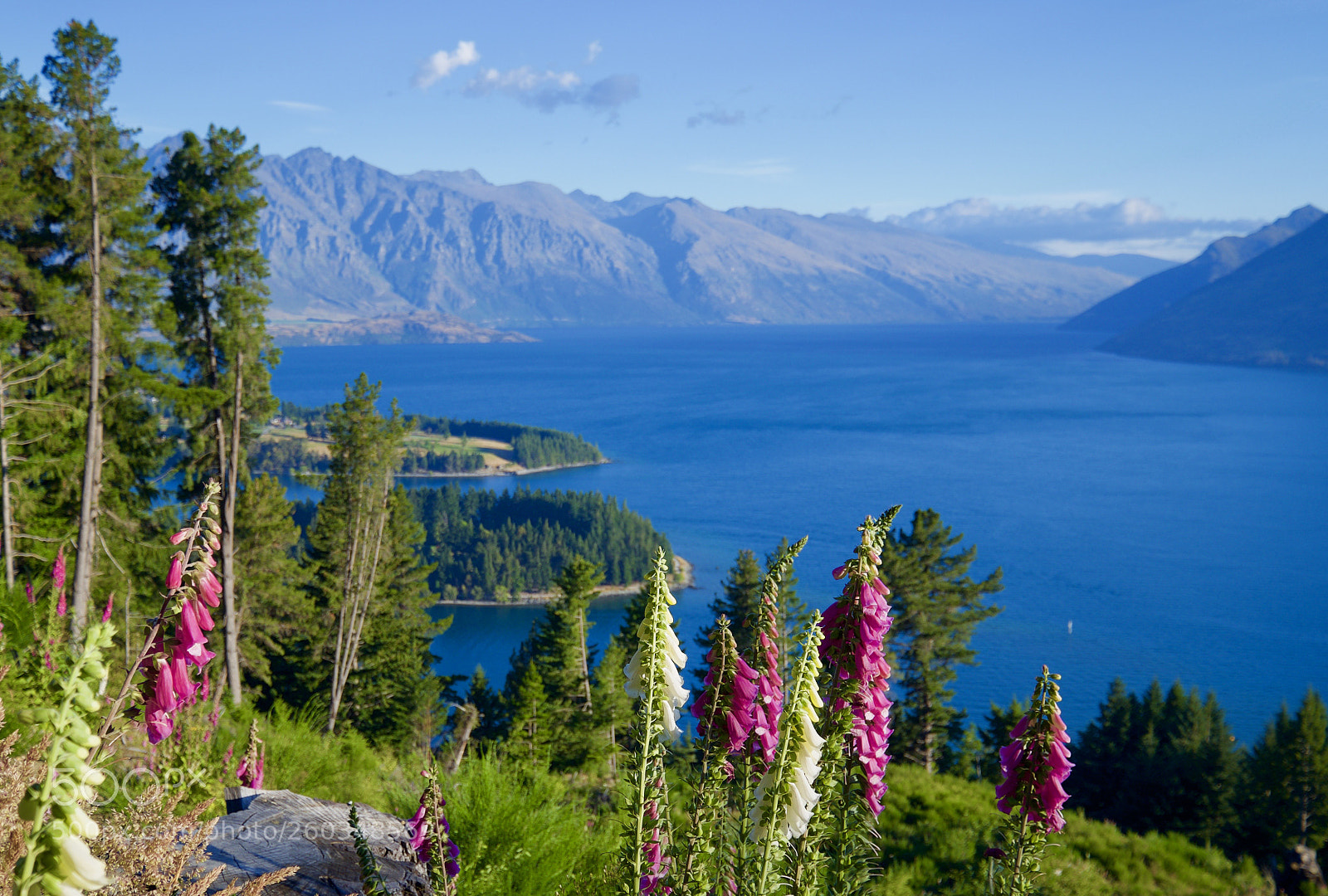 Fujifilm X-T10 sample photo. Queenstown photography