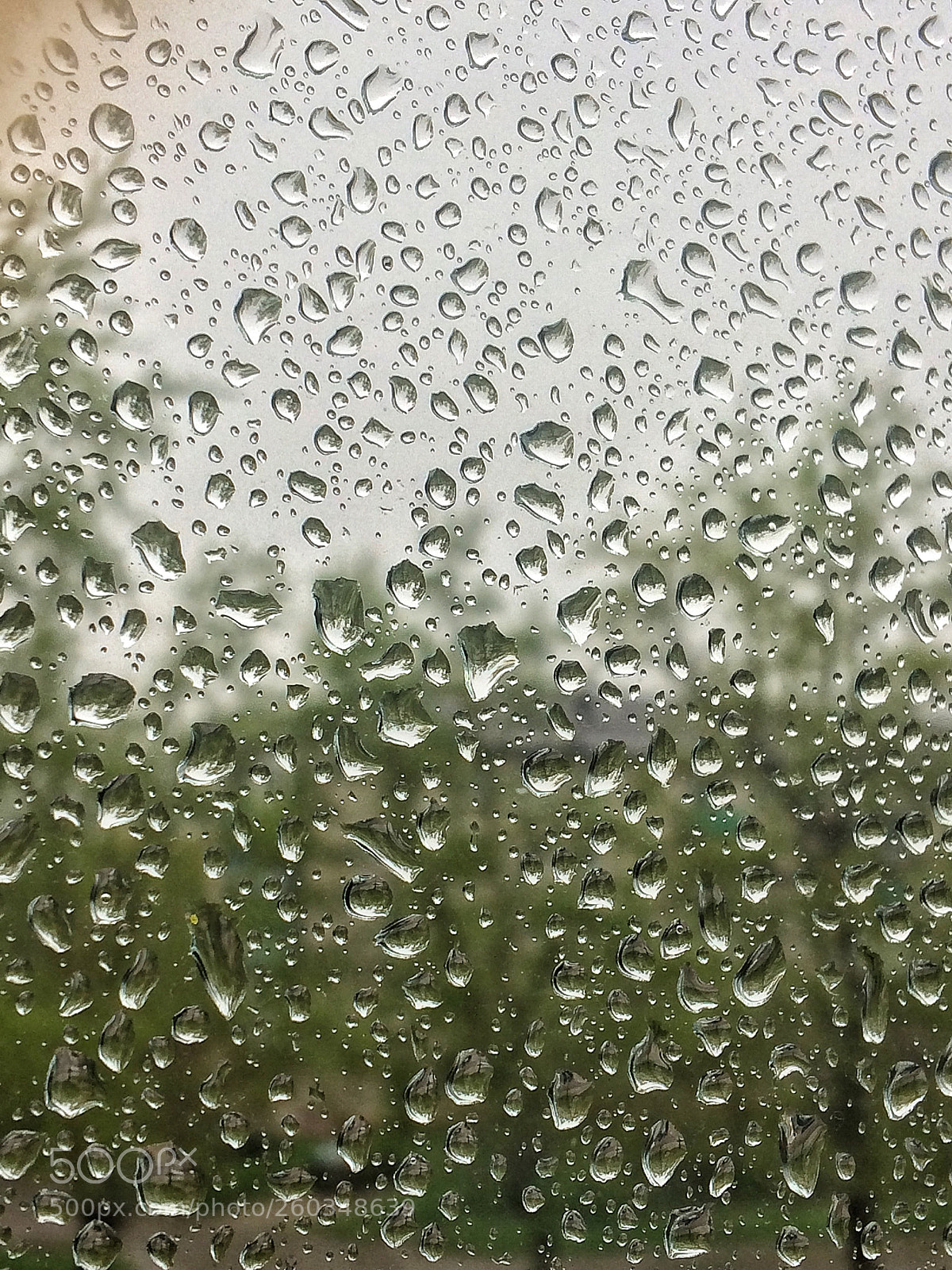 Apple iPhone 5s sample photo. Untitled photography