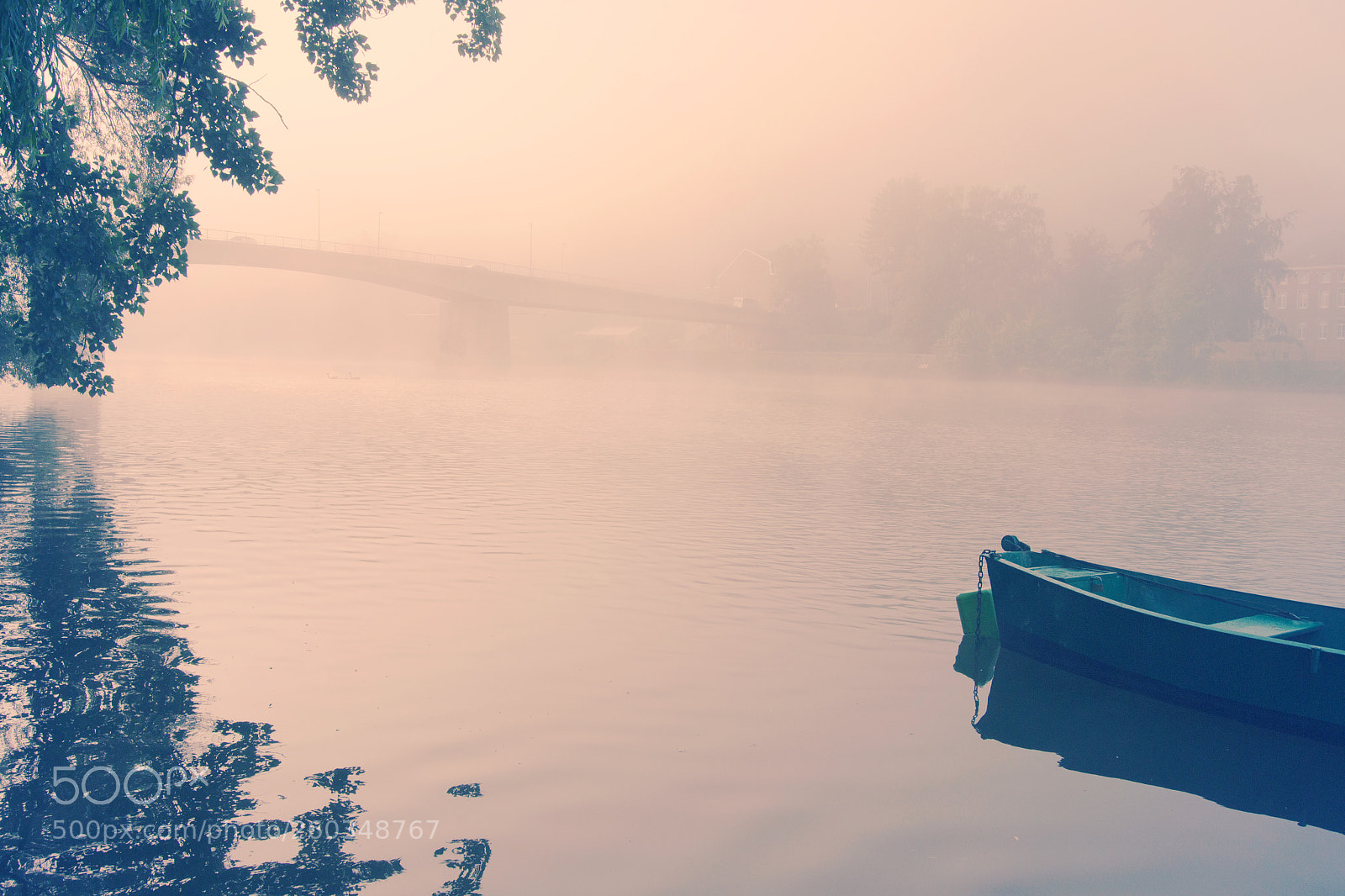 Nikon D3100 sample photo. Foggy river photography