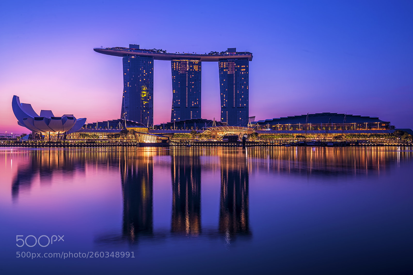 Canon EOS 6D sample photo. Purple reflection photography