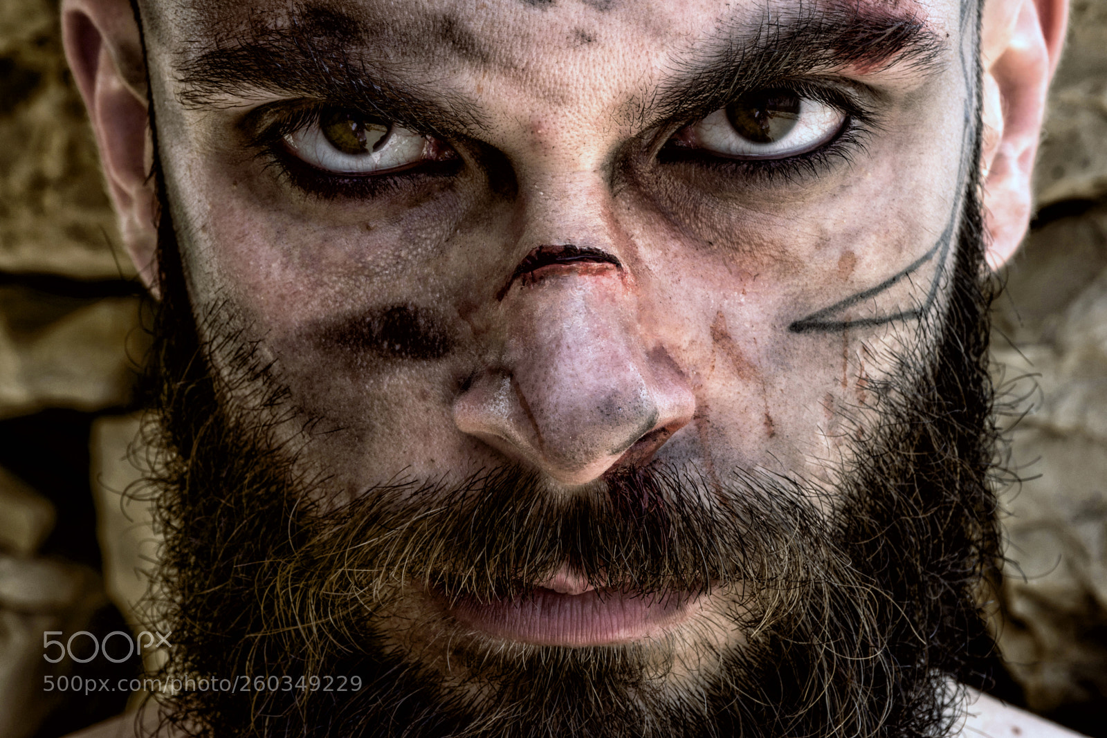 Nikon D5500 sample photo. Viking photography