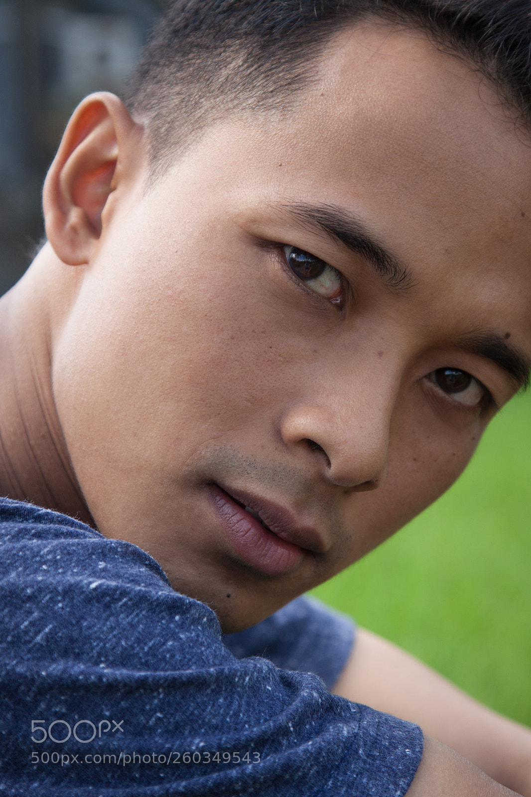 Canon EOS 50D sample photo. Up close photography