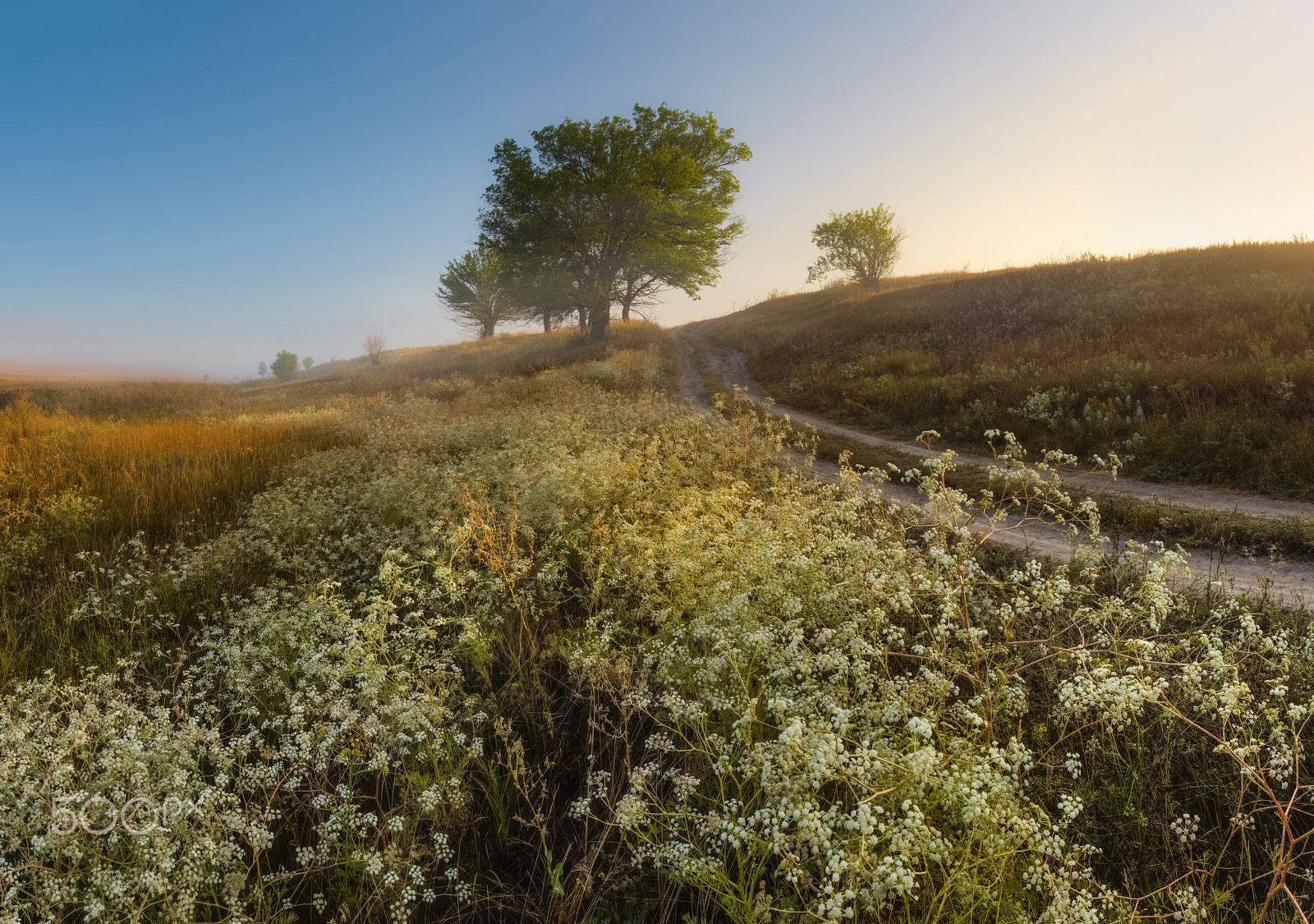Fujifilm X-E1 sample photo. Good morning, clear morning ! photography