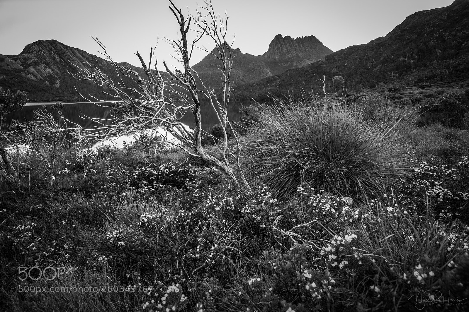 Canon EOS 5D Mark IV sample photo. Cradle mountain - rugged photography
