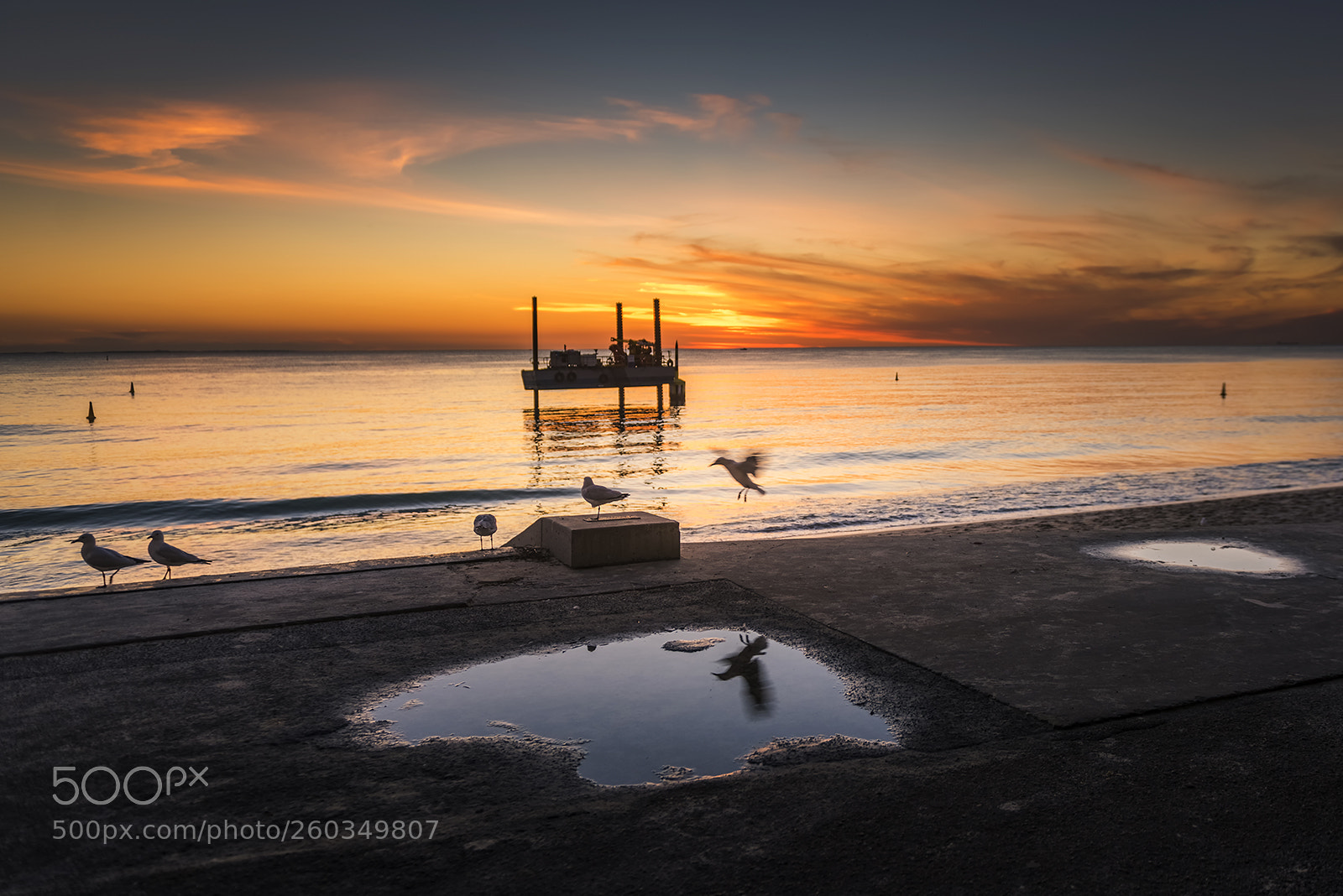 Nikon D810 sample photo. Cottesloe beach - perth photography