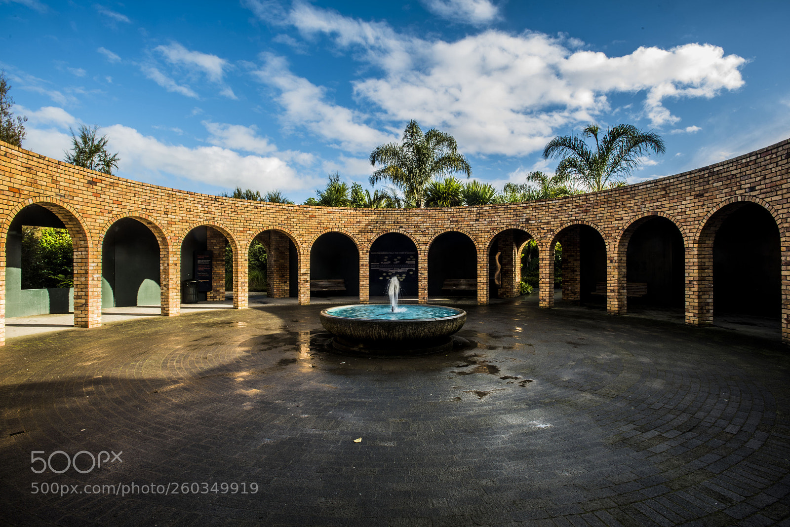 Nikon D750 sample photo. Hamilton gardens photography