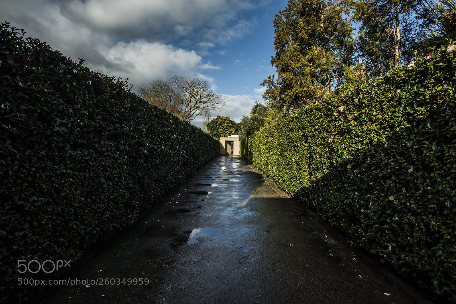 Nikon D750 sample photo. Hamilton gardens photography