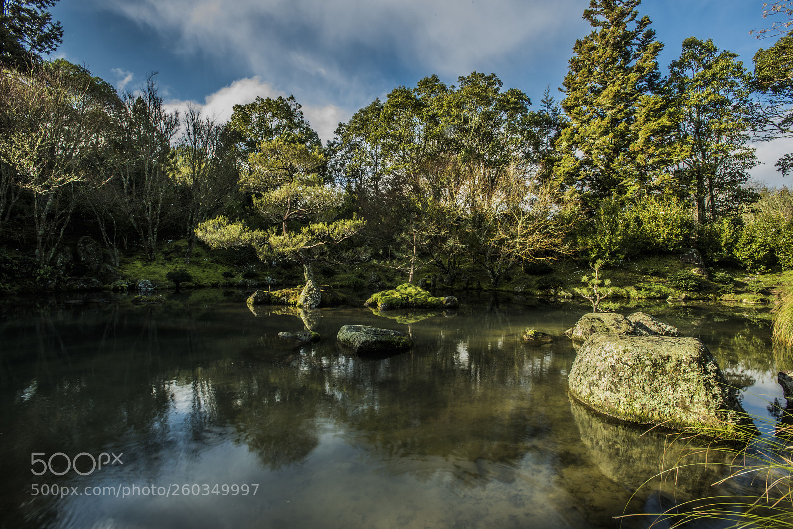 Nikon D750 sample photo. Hamilton gardens photography