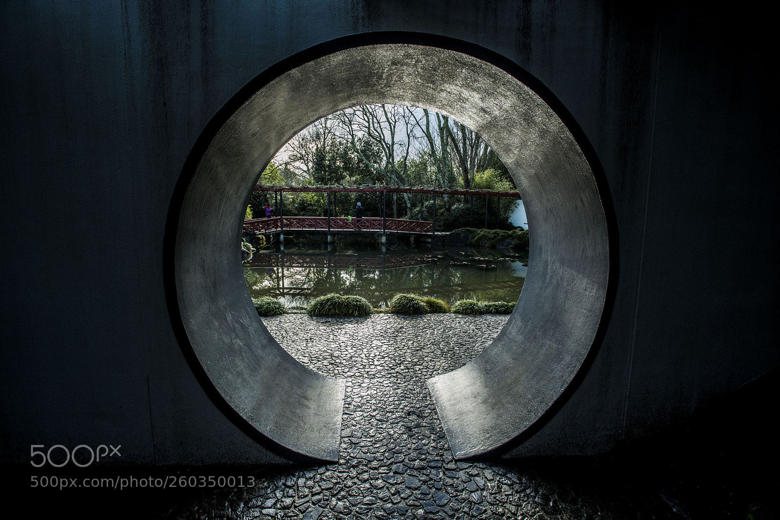 Nikon D750 sample photo. Hamilton gardens photography