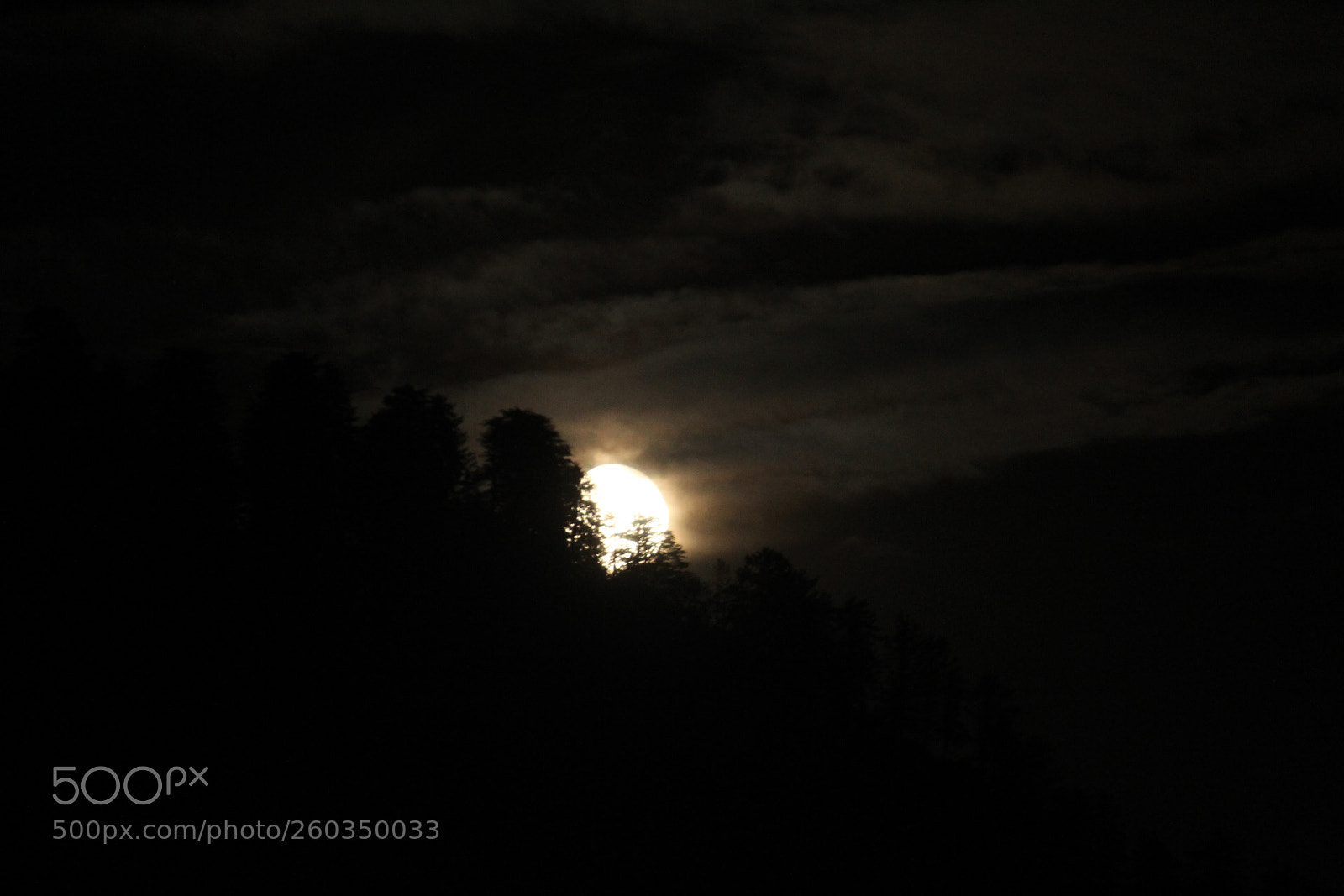 Canon EF-S 55-250mm F4-5.6 IS II sample photo. Untitled photography