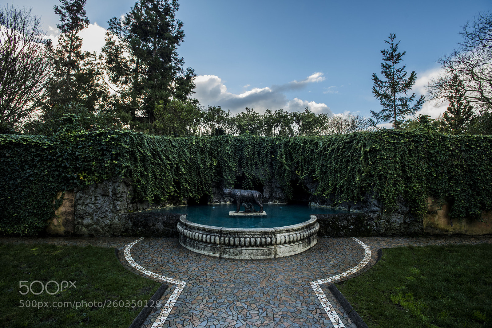 Nikon D750 sample photo. Hamilton gardens photography