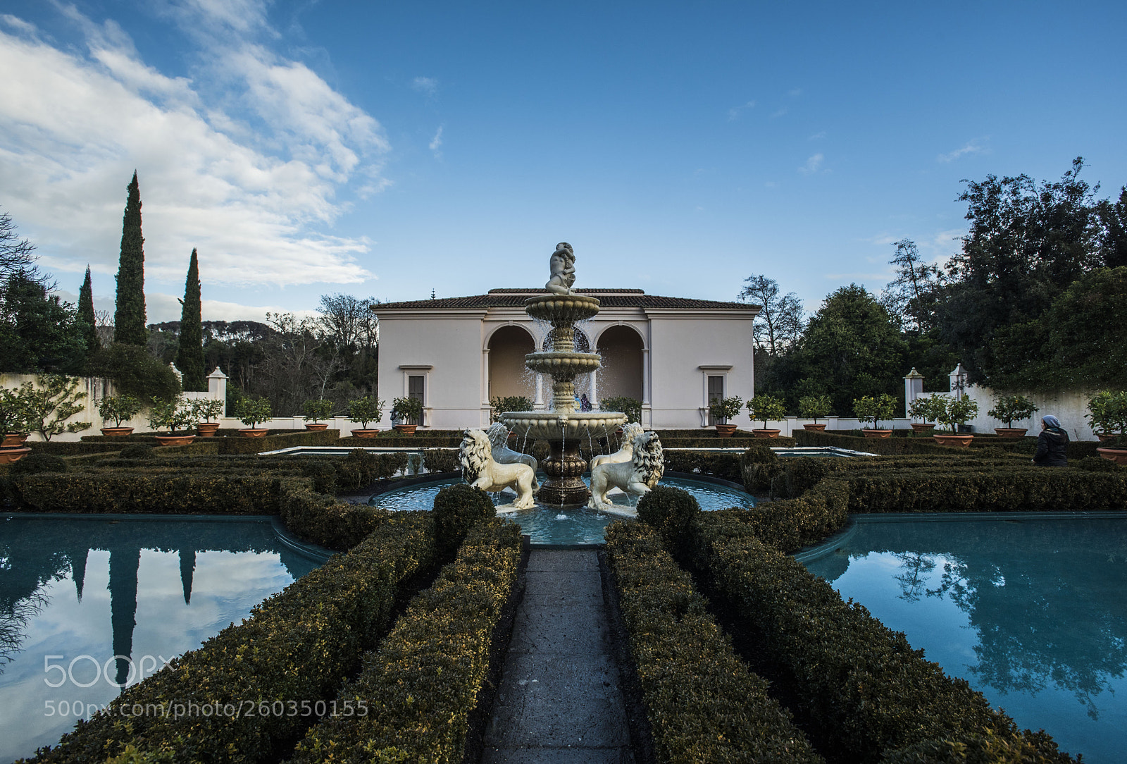Nikon D750 sample photo. Hamilton gardens photography