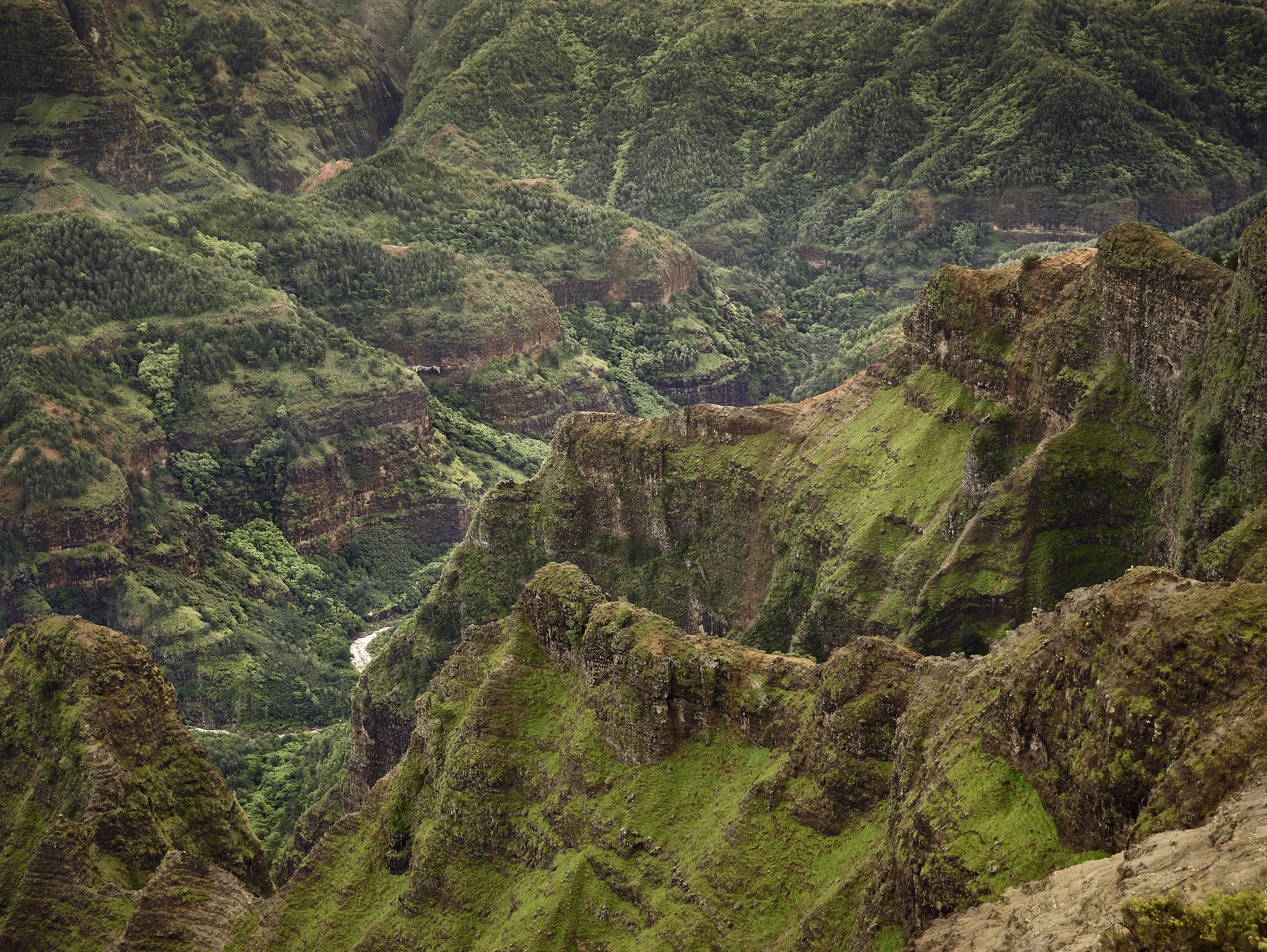 Panasonic Lumix DMC-G85 (Lumix DMC-G80) sample photo. Hawaiian highlands 12 photography